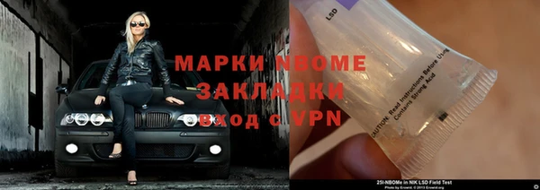 apvp Алзамай