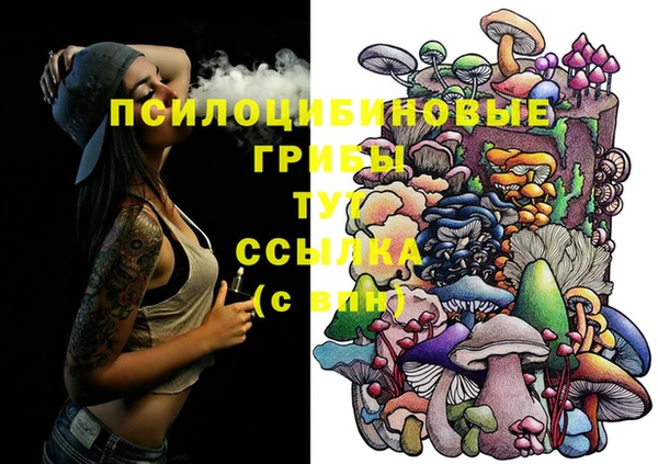 меф Переславль-Залесский